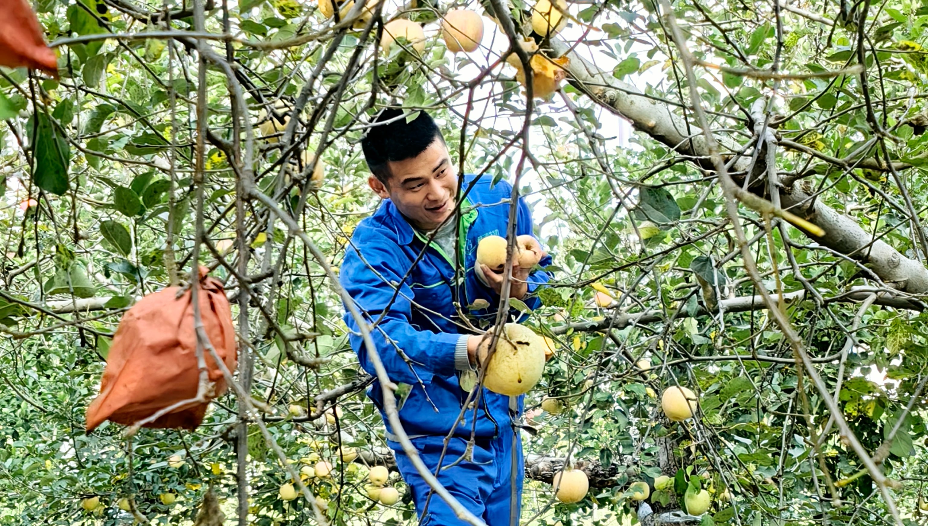 1763000177991564.jpg mmexport1762582795667.jpg